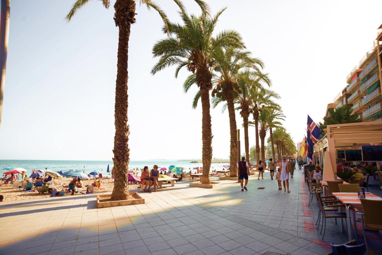 Holiday Studio Jardin Playa Torrevieja Exterior photo